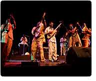 Bassekou Kouyate & Ngoni Ba, I Speak Fula (Sub Pop/Next Ambiance)