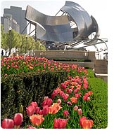 Music Without Borders, Millennium Park (Chicago, IL)