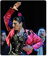 Bay Area Festival of Flamenco Arts & Traditions