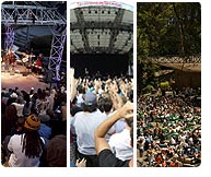 Festival Tastemakers (Grand Performances/Stern Grove/SummerStage)