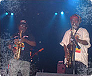 The Skatalites, From Paris With Love, (World Village)